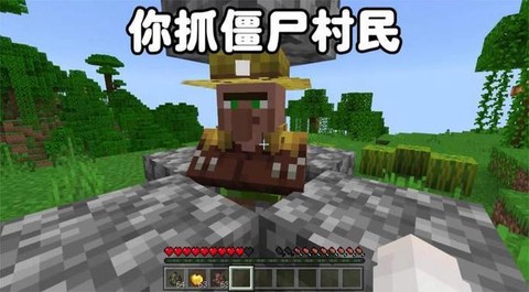 我的世界怎么抓村民[图2]