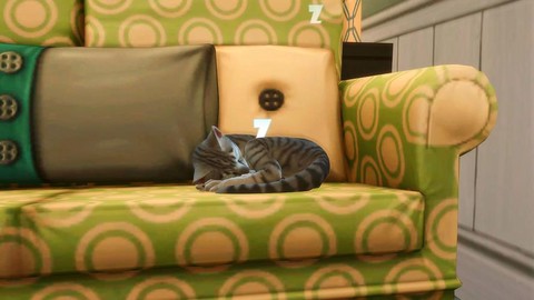 模拟人生4怎么养猫狗[图1]