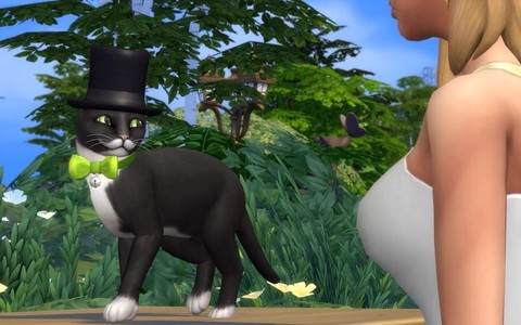 模拟人生4怎么养猫狗[图2]