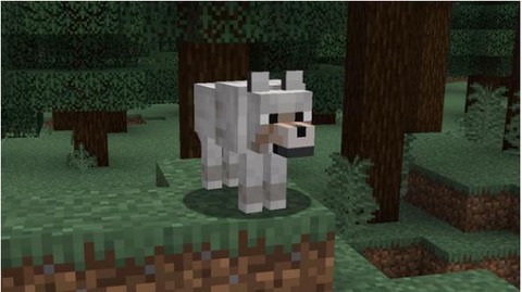 我的世界怎么给狼命名[图1]